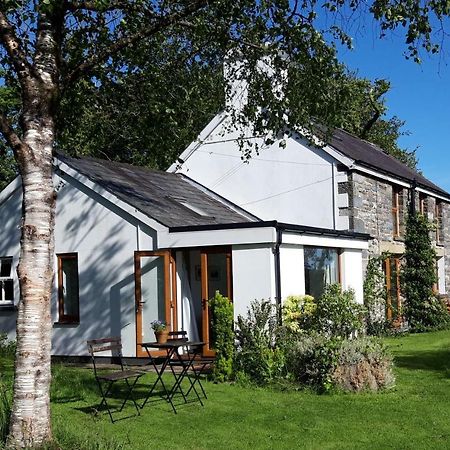 Nant Yr Onnen B&B And Holiday Cottage Tregaron Extérieur photo