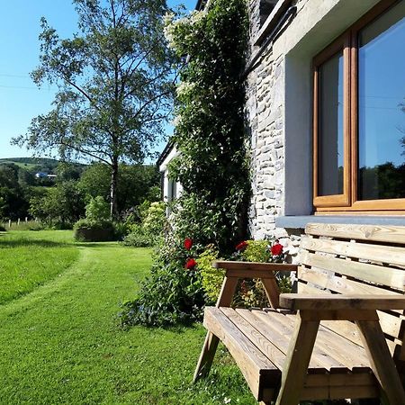 Nant Yr Onnen B&B And Holiday Cottage Tregaron Extérieur photo