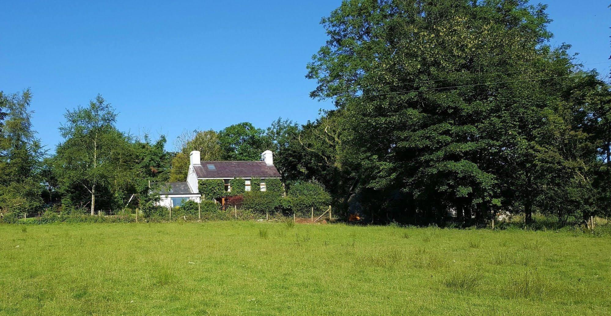 Nant Yr Onnen B&B And Holiday Cottage Tregaron Extérieur photo