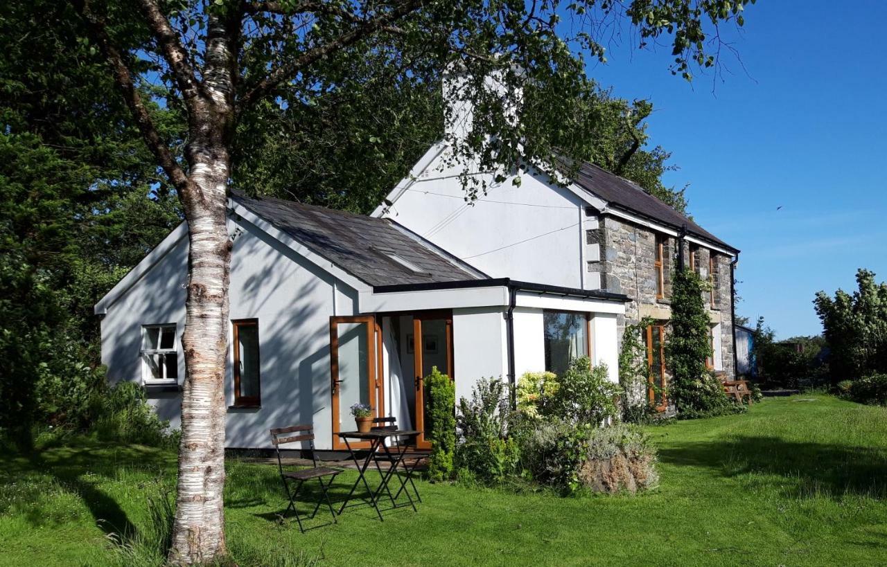 Nant Yr Onnen B&B And Holiday Cottage Tregaron Extérieur photo