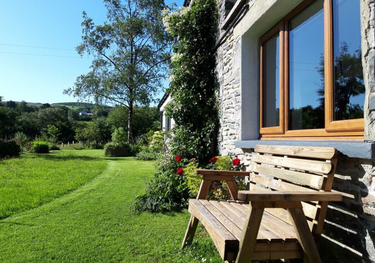 Nant Yr Onnen B&B And Holiday Cottage Tregaron Extérieur photo